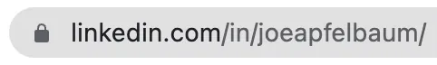LinkedIn URL Joe Apfelbaum